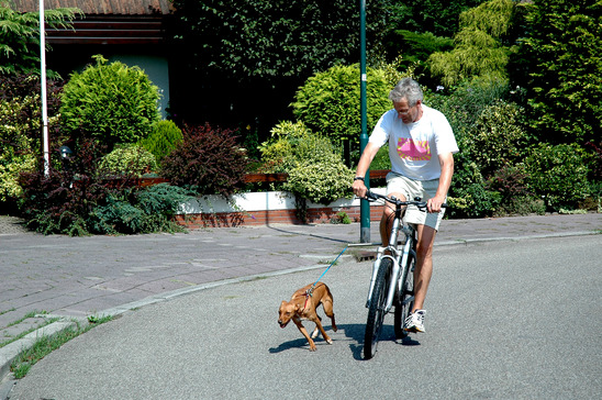 Cykla med hunden